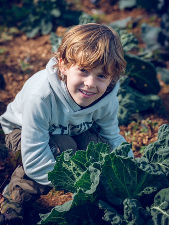 Satisfied child near growing cabbage in nature
