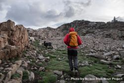 Person in red jacket and backpack standing beside goat in a green and rocky field 4dkGD5