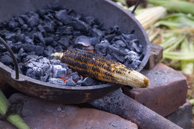 Fresh Raw Yellow corn roasted on fire coal