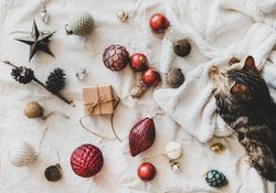 Flat-lay of holiday decoration, with knitted sweater, and cat top view