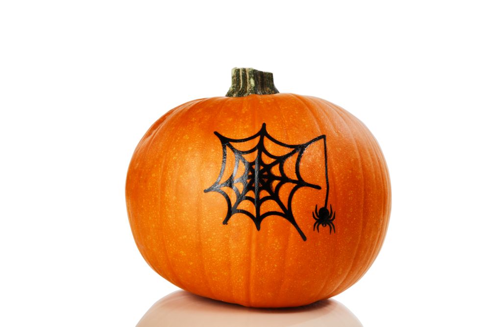 Real pumpkin decorated on background for Autumn Halloween holiday