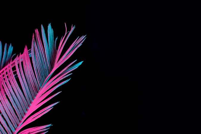 Tropical palm leaf in vibrant bold gradient blue and pink holographic neon  colors