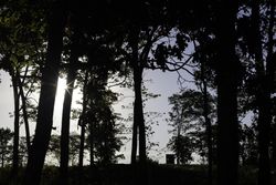 Hunting blind and morning light in McGregor, Minnesota