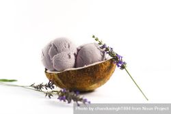 Side view of coconut shell with purple ice cream and pieces of lavender flowers 4B1WM5