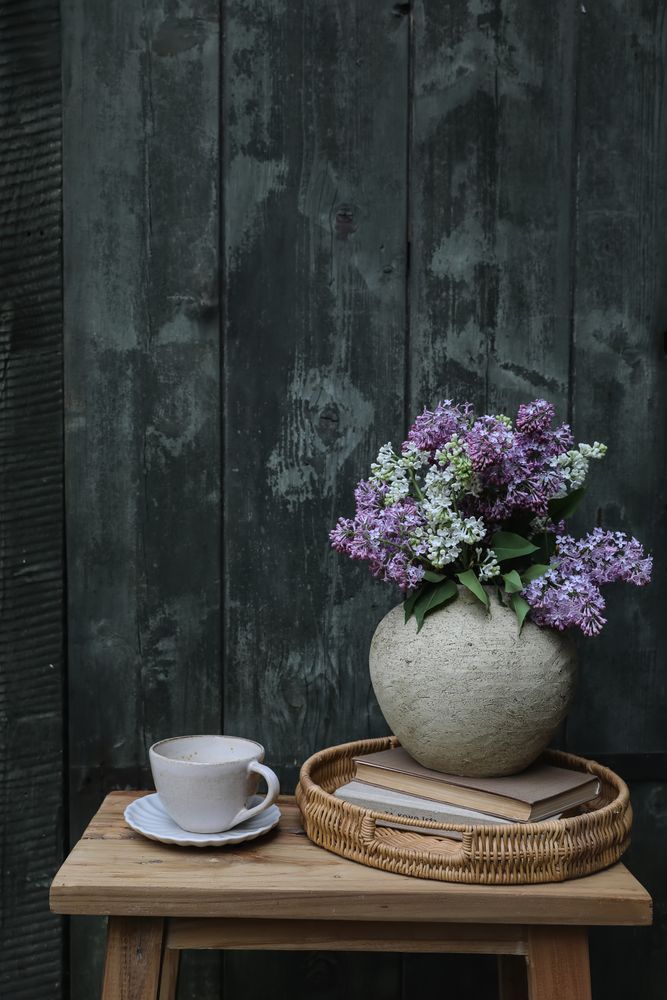 Moody farm spring breakfast still life.