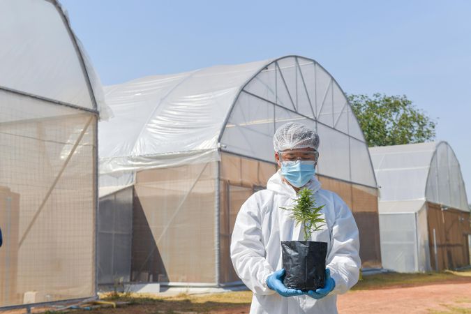 Man in light PPE holding plant
