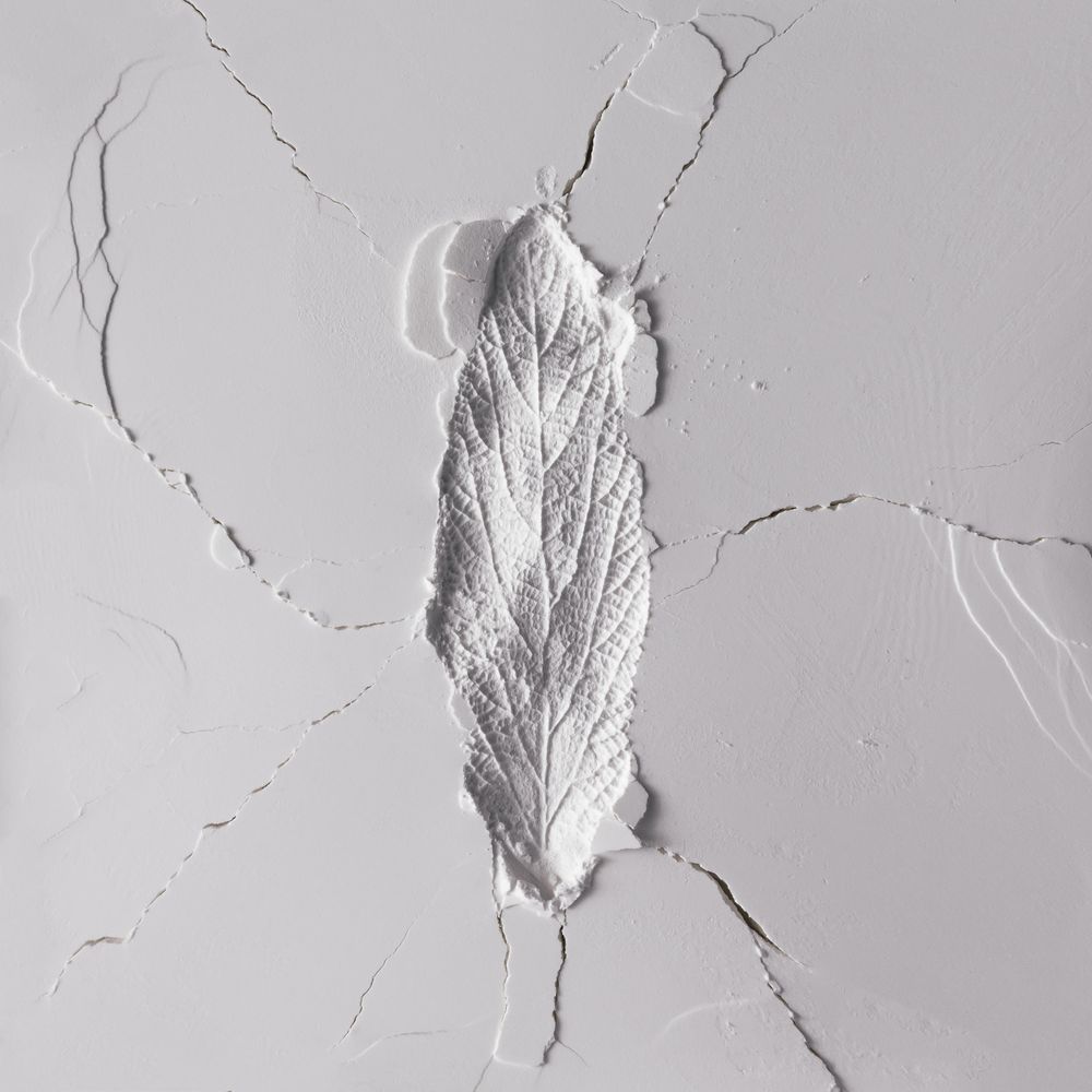 Powder texture with impression of leaf