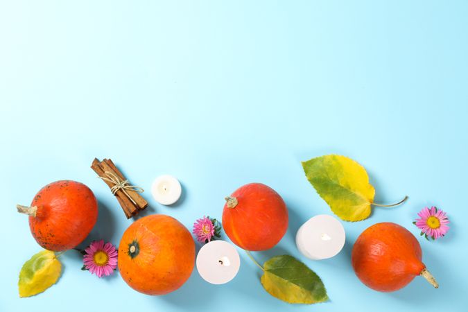 Composition with pumpkins, leaves and flowers on blue background, copy space