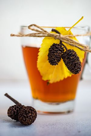 Side view of autumnal tea with pine cones