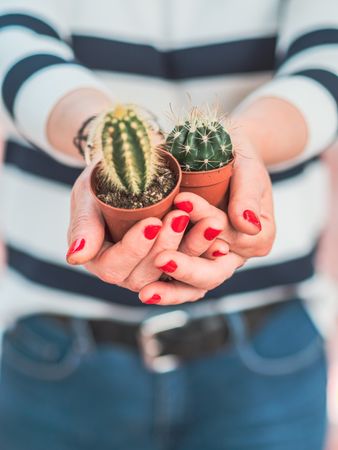 Female with small cacti in hands