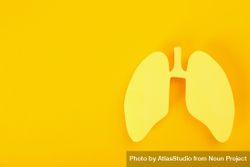 Yellow background with lungs, and copy space 4MLlr5