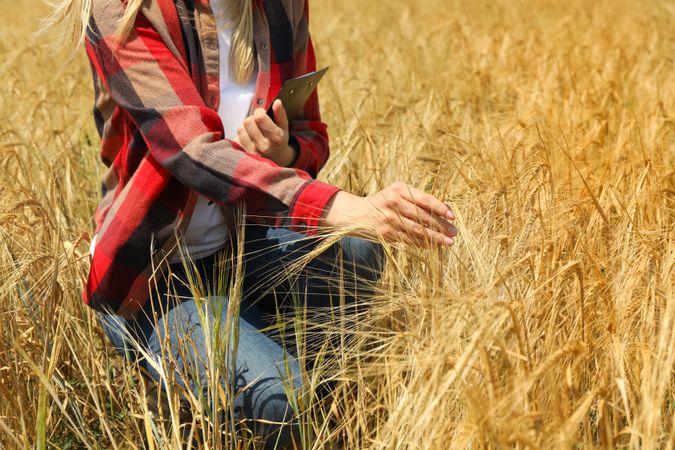 Young woman  with clipboard in barley field. Agriculture business. Farming