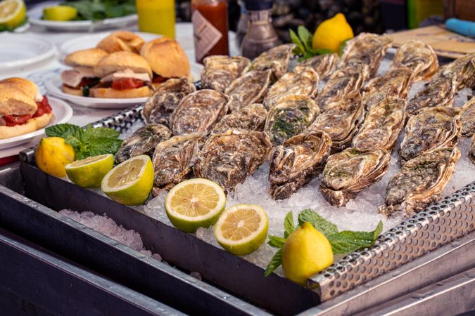 Fresh Oysters with Lemon and Street Food Sandwiches, Mediterranean Market Seafood Display, Local Food