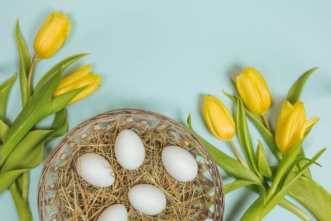 Fresh yellow flowers and easter eggs with green leaves