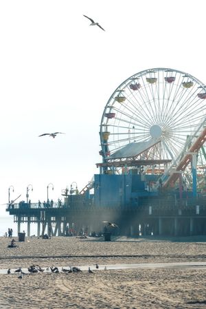 Ferris wheel at summer seaside