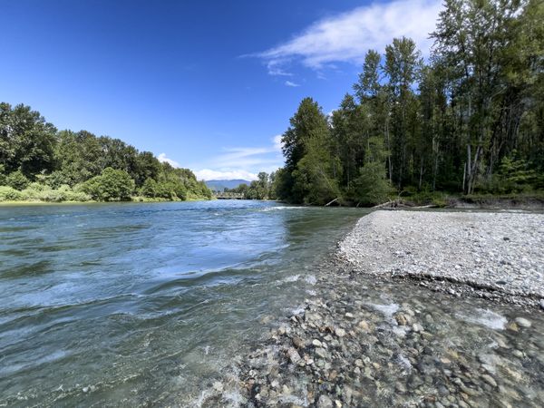 Cascade river flowing into Skagit river during summer time