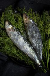 Homemade salted sardines on greens on plate
