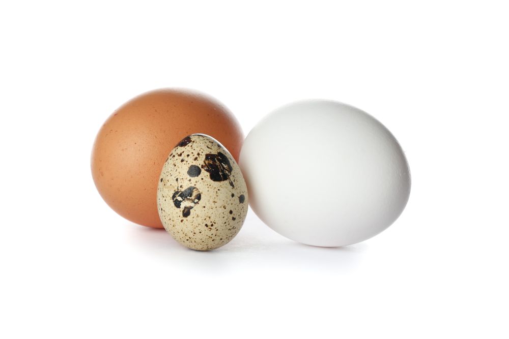 Chicken eggs and quail egg isolated on plain background