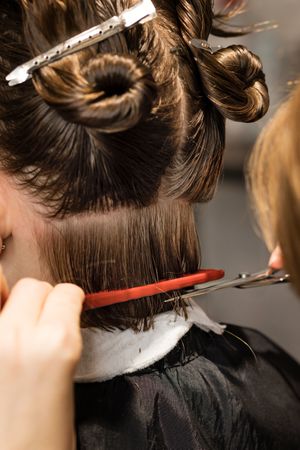 Process of cutting bob, back view