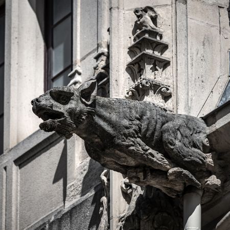 Medieval stone gargoyles on the roof of the palace in Nancy