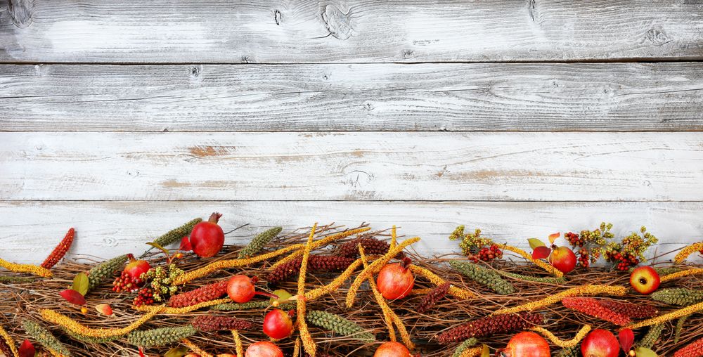 Thanksgiving decorations forming bottom border on rustic wood