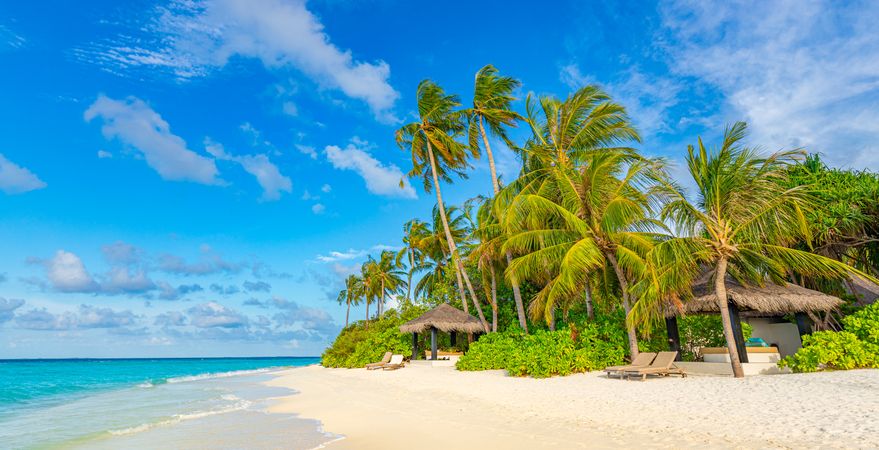 Thatched huts on the beach with palm trees, wide