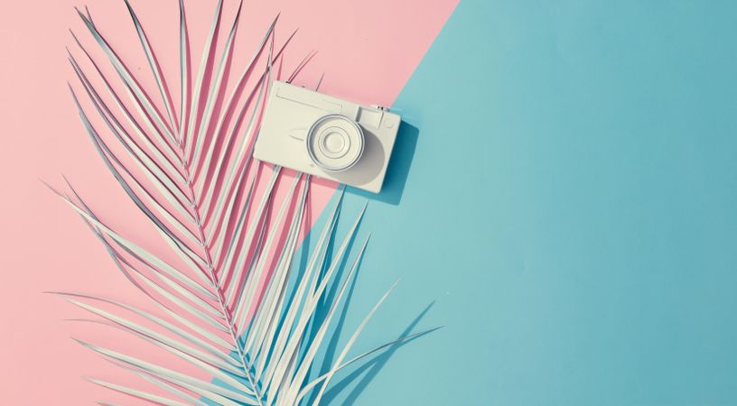 Tropical painted leaves and camera on pink and blue background