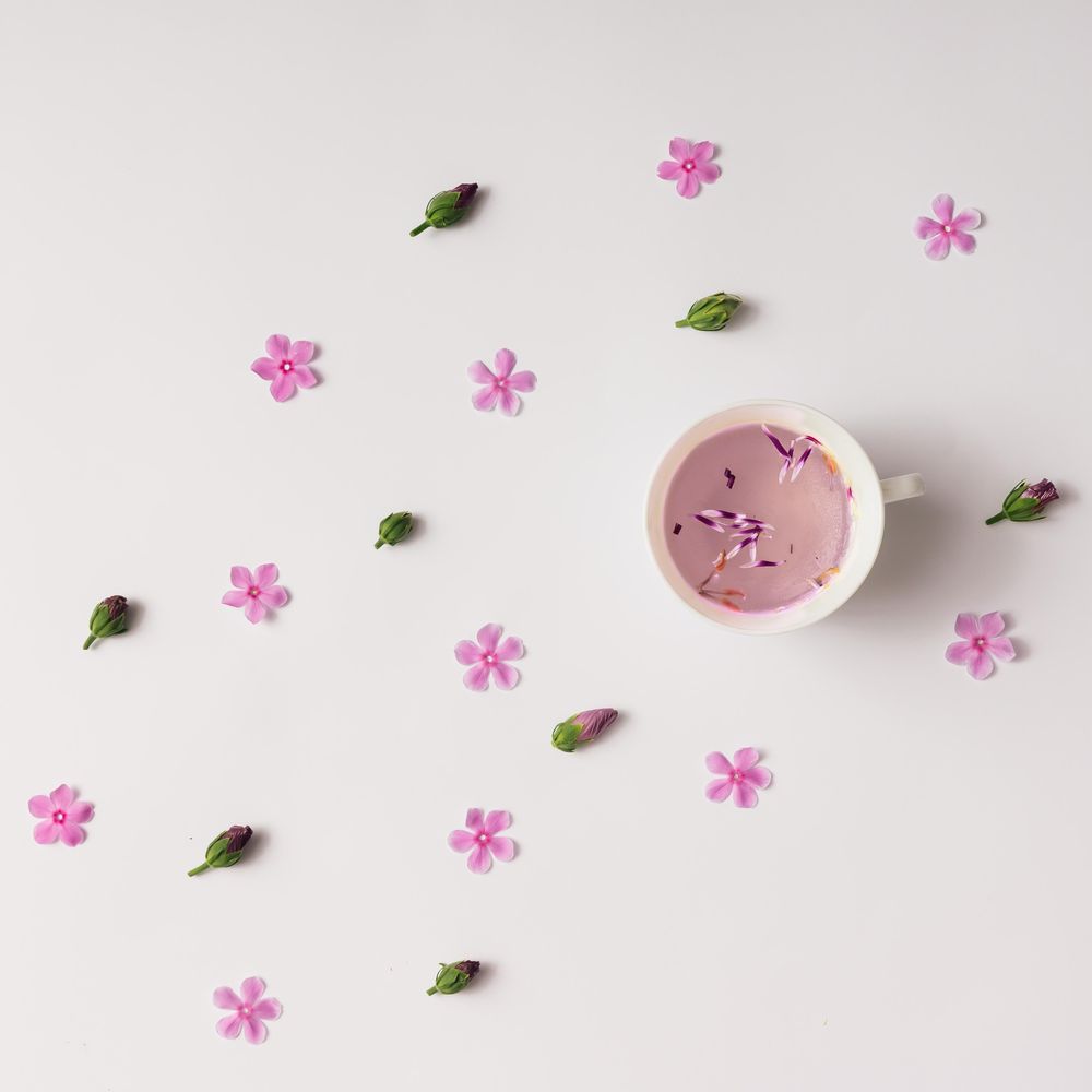 Cup of herbal tea with flowers and buds on light background