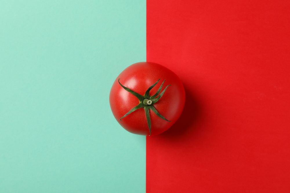 Fresh tomato on two tone background, top view