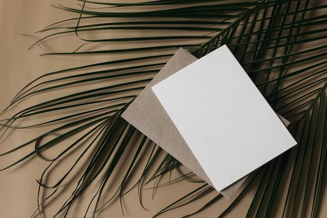 Summer tropical wedding stationery still life scene. Green date palm leaves. Blank greeting card, invitation mockup scene. Craft envelope. Beige table background. Flat lay, top view, no people.
