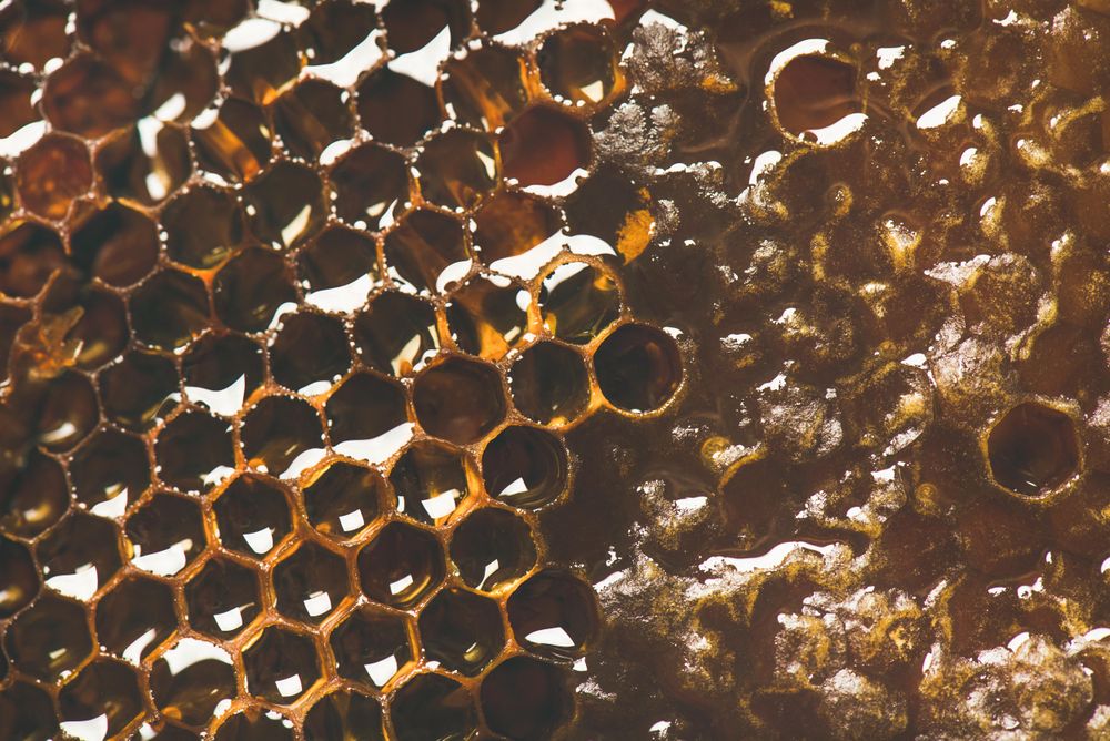 Close up, horizontal composition of honeycomb with diagonal slant