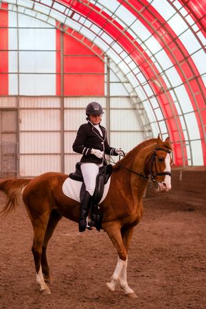 Focused dressage rider in a striking red-arched arena