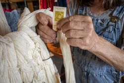 Close up of woman’s hands putting tags on wool to sell