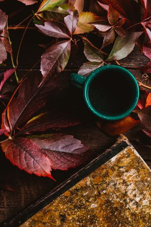 Autumn leaves on old book with cup on wooden surface