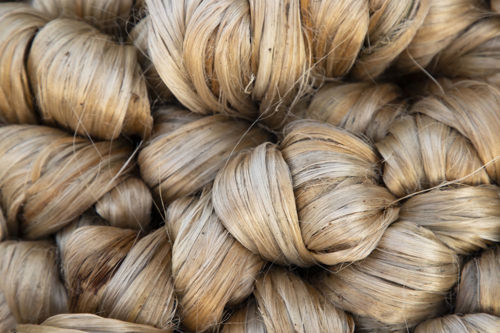 thick brown bundle of raw jute fiber Texture Background