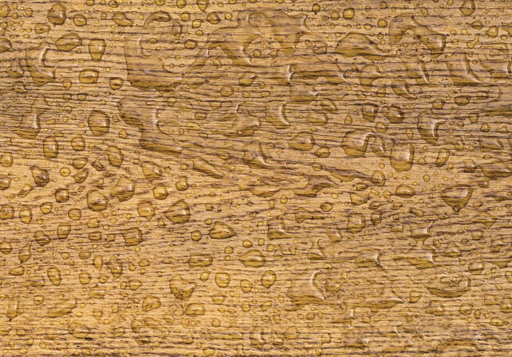 Oak background with raindrops