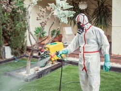 Fumigator in uniform spraying substance on garden