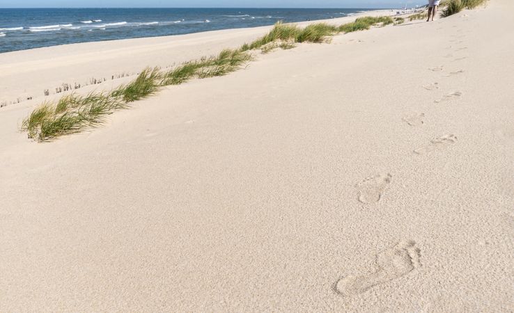 Closeup of small footprints on sand