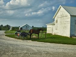 Parked Amish horse and buggy in Kalona, Iowa a4OZg5