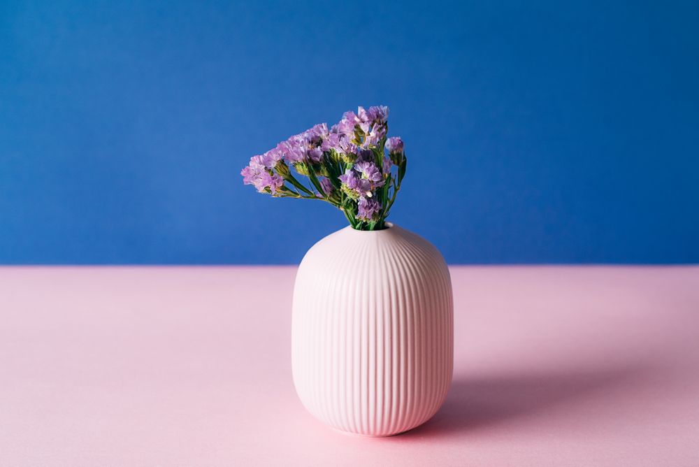 Violet sea lavender flowers in a pink and blue background