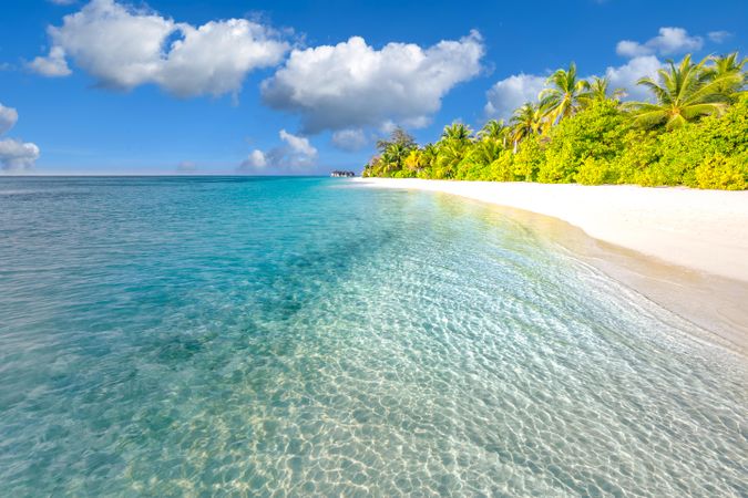 Light blue clear waters on a beach with palm trees