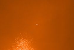 Far away aerial image of woman swimming in orange water