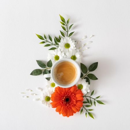 Layout made of flowers, leaves and coffee cup on light  background