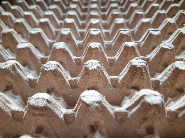 Close Up Texture of Cardboard Egg Tray