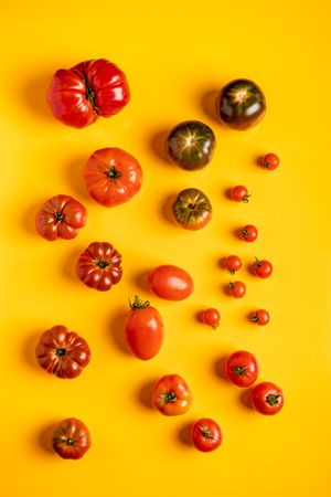 Set of assorted tomatoes
