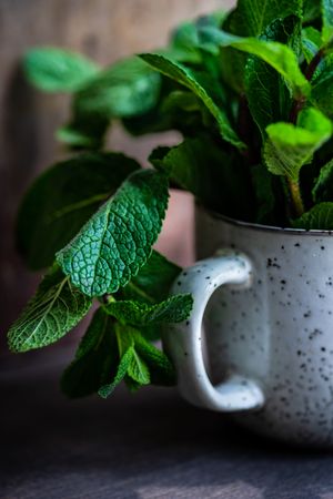 Organic mint leaves in ceramic mug