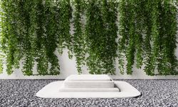 Backyard with vine wall and marble podium