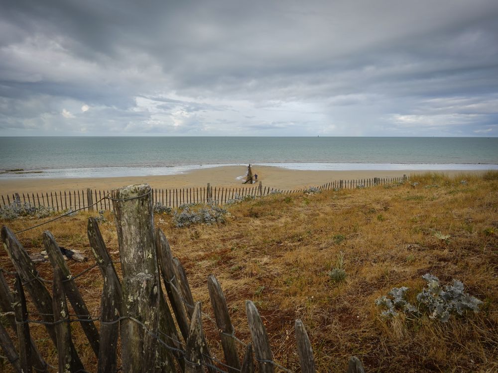 The coastal path at dawn, La Couarde sur Mer, France