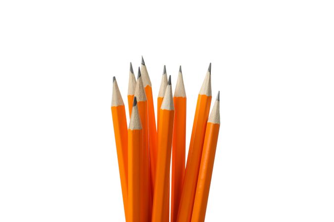 Orange office pencils isolated on plain background