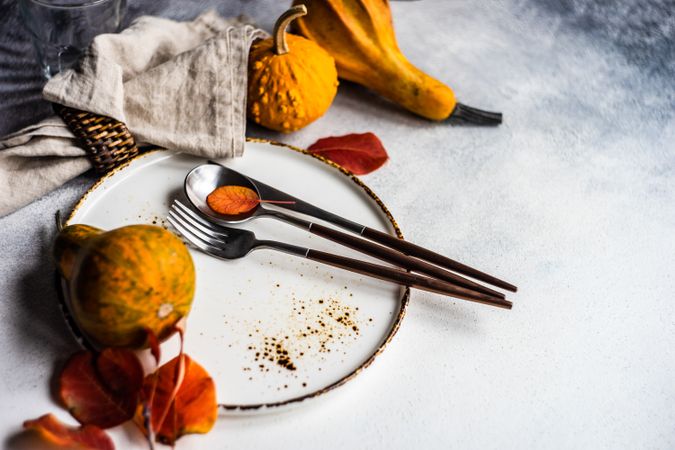 Autumn place setting with colorful leaves and gourds garnishing plate with space for text